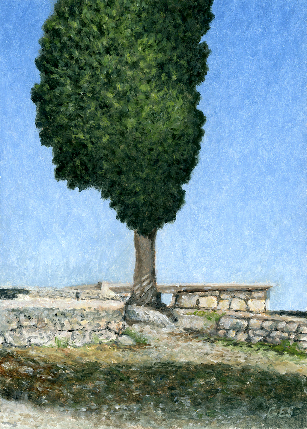 Tree, Knossos, Crete